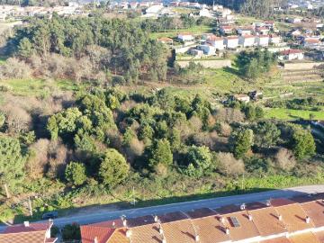 Terreno para Loteamento