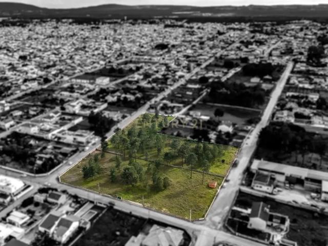 Terreno para loteamento com 16.000m2 em Fernão Ferro