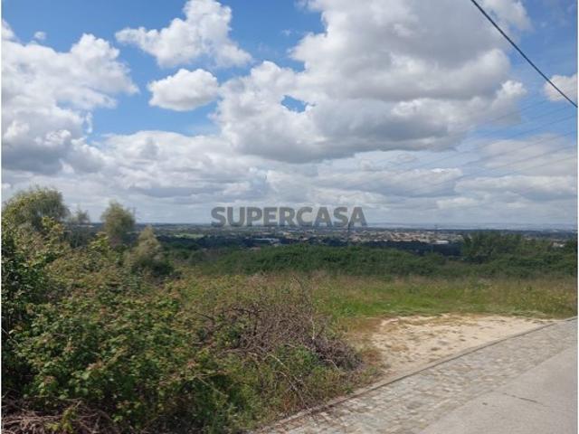Terreno para Loteamento Quinta dos Carvalhos, Palmela