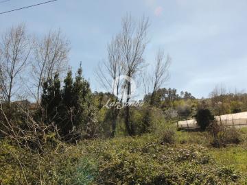 Terreno para loteamento Silvares S. Martinho Fafe