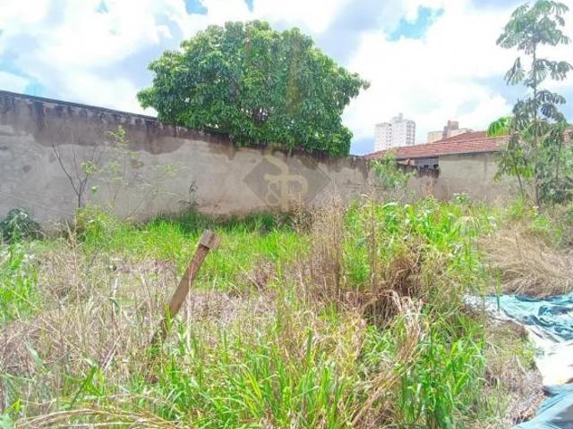 Terreno para Locação no Bairro Campos Elíseos, em Ribeirão Preto