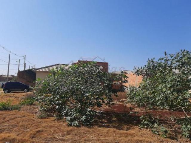 Terreno para Locação no Bairro Parque das Oliveiras, em Ribeirão Preto