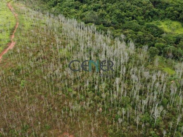 Terreno para lavoura ou sitio de 17 ha em Entre Rios de Minas