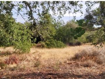 Mouraria, Albufeira e Olhos de Água, Albufeira e Olhos de Água, Albufeira, Distrito de Faro, Algarve