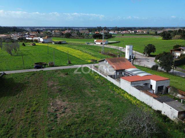 Terreno para moradia isolada ou 2 moradias geminadas_1900m2_Vagos