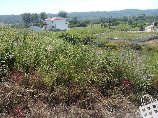 Terreno para moradia Lote