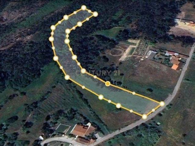 Terreno para semeadura 27 metros de frente