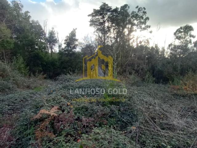 Terreno para Serviços ou Lazer