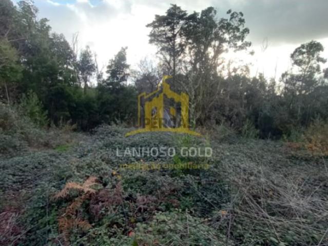 Terreno para Serviços ou Lazer