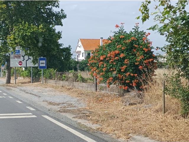 TERRENO PARA POSSÍVEL ÁREA DE SERVIÇO, JUNTO À A23, CASTELO BRANCO, BEIRA BAIXA