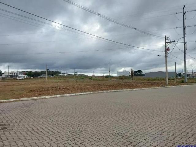 Terreno para Pavilhão