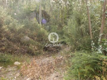 Terreno para plantação Borba, Celorico de Basto