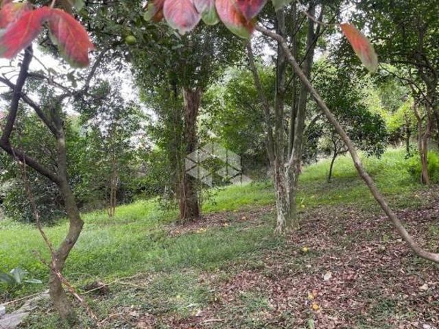 TERRENO PARA PRÉDIO COMERCIALOU RESIDENCIAL EM CAXIAS DO SUL