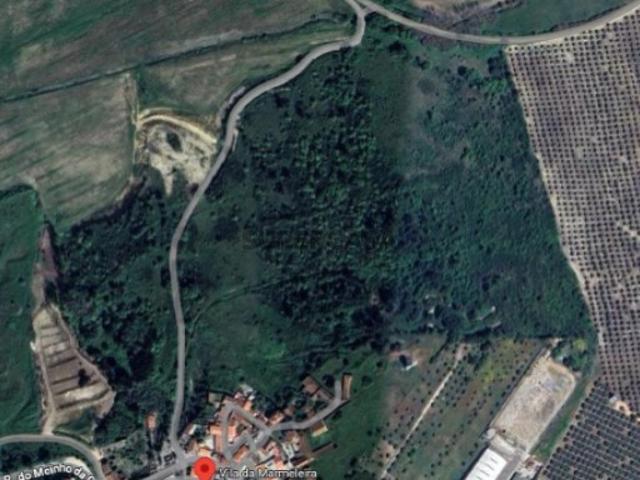 Terreno para projeto agrícola, florestal ou laser na Vila da Marmeleira