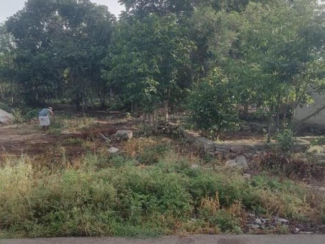 Terreno para Quinta