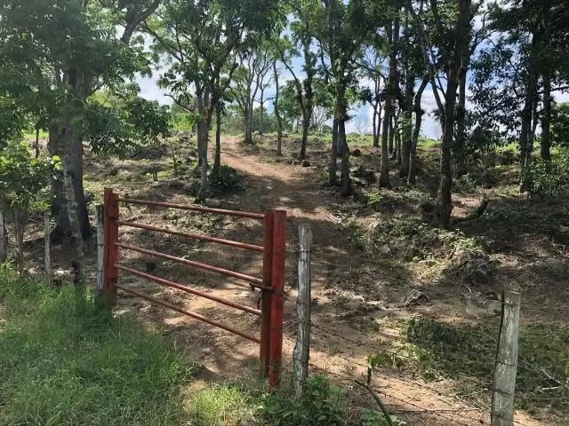 Terreno para quinta