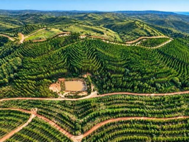 Terreno com 80H, para projeto turístico com viabilidade para construir até 30.000 mts2 em Odemira