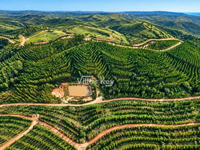 Terreno com 80H, para projeto turístico com viabilidade para construir até 30.000 mts2 em Odemira