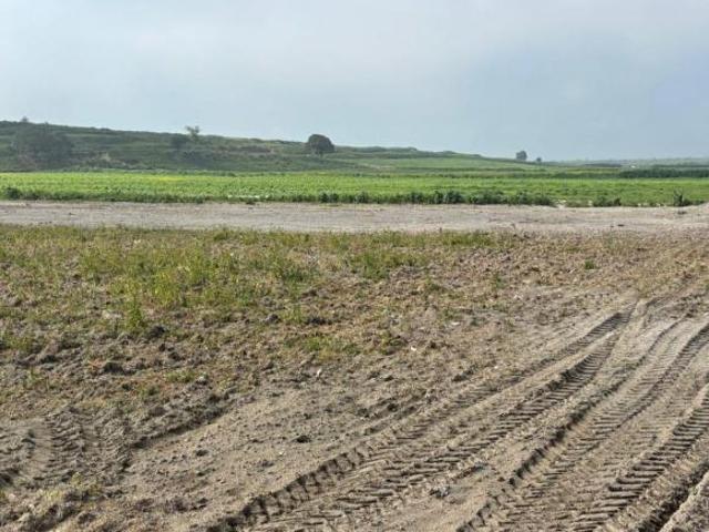 Terreno en venta o renta para uso agricola, habitacional o industrial