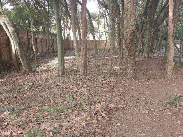 Terreno para Venda 0m², 0 dormitórios, Vila Conceição