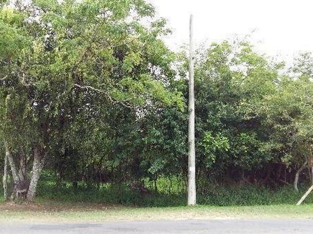Terreno para Venda 0m², 0 dormitórios, Lami