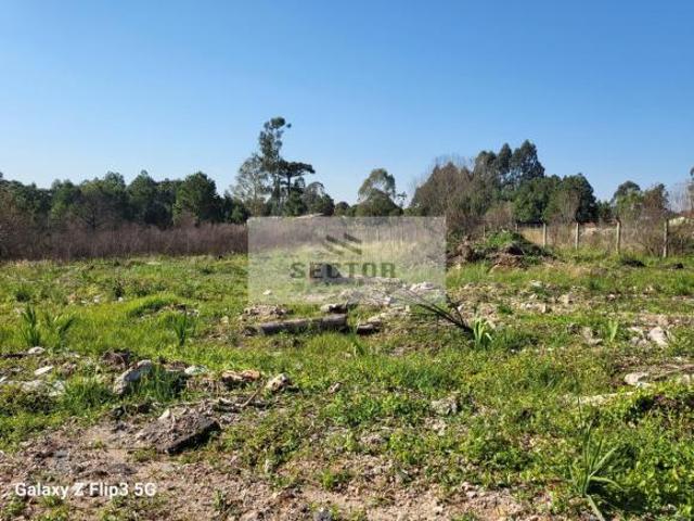 Terreno para Venda • 11.000 m² • São José dos Pinhais PR