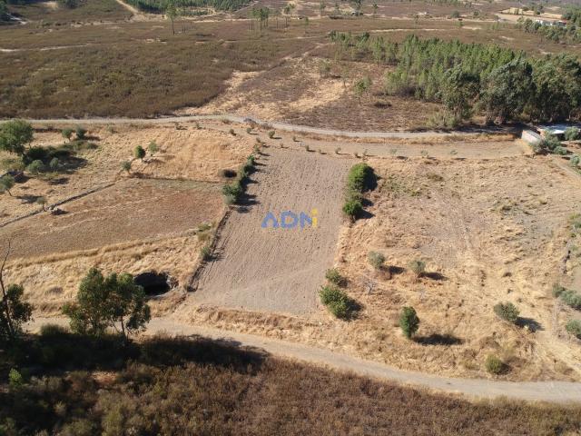 Terreno para Venda – 1.720 m² em Juncal do Campo