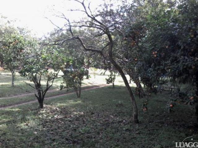 Terreno para Venda 2460m² no bairro Restinga