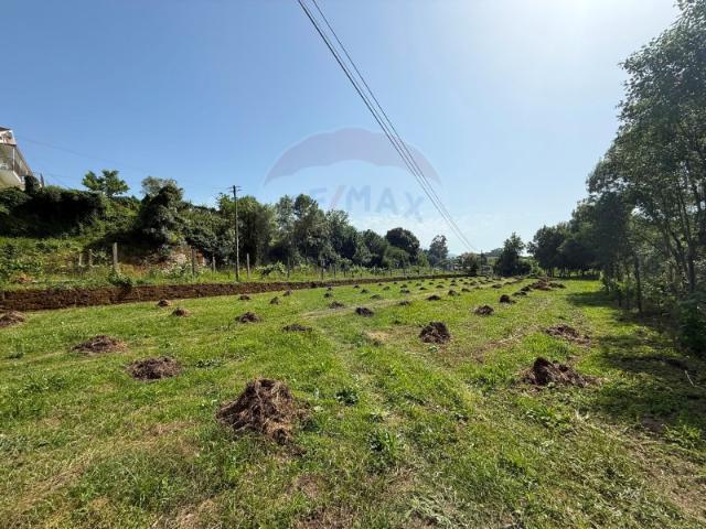 Terreno para venda