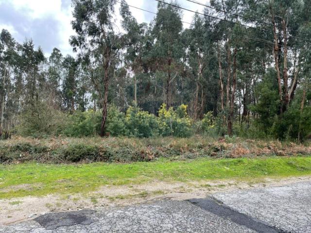 Terreno para venda em São Jorge