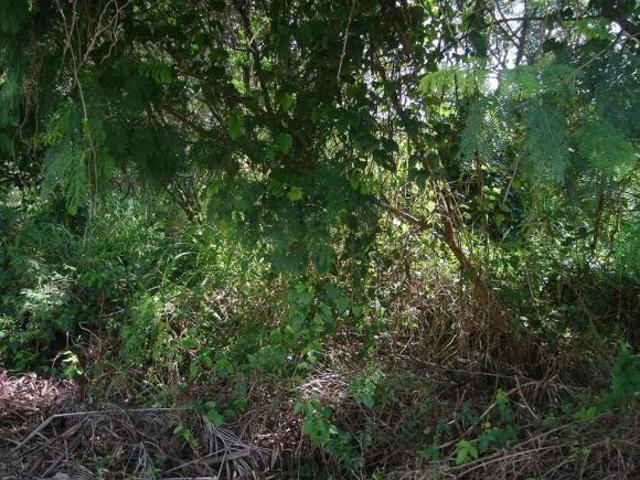 Terreno para Venda, 2.053m², por R$ 800.000,00, em Chácara Malota, Jundiaí / SP