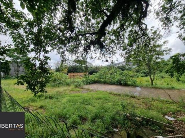 Terreno para Venda 3778m² Na Avenida Cavalhada