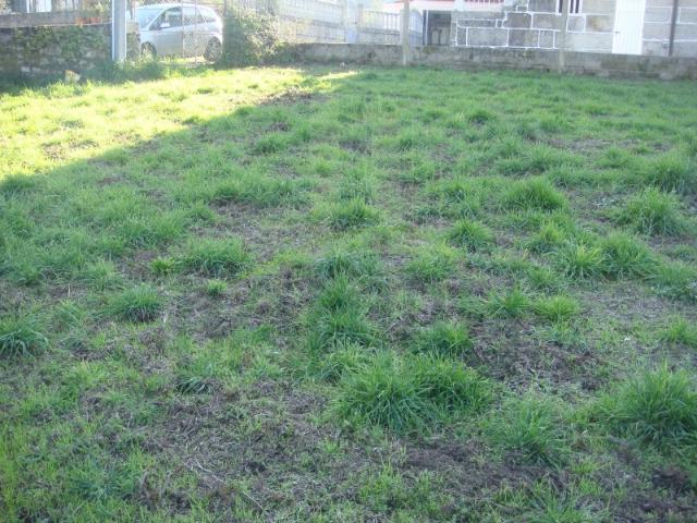 Terreno para Venda