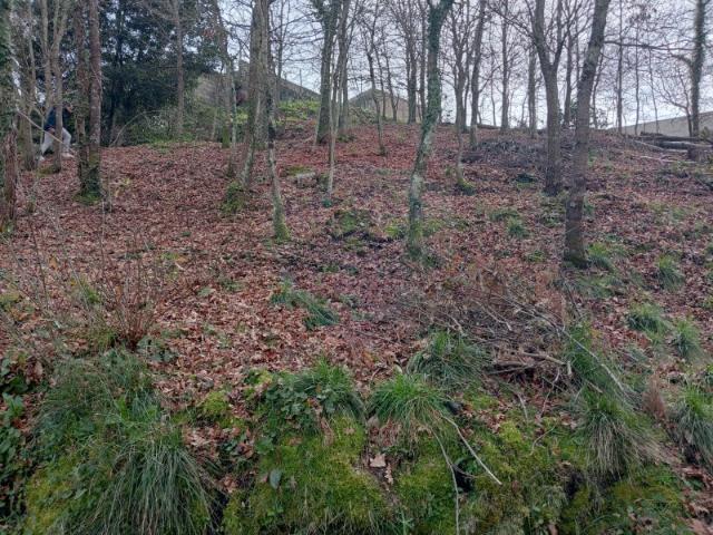 Terreno para venda