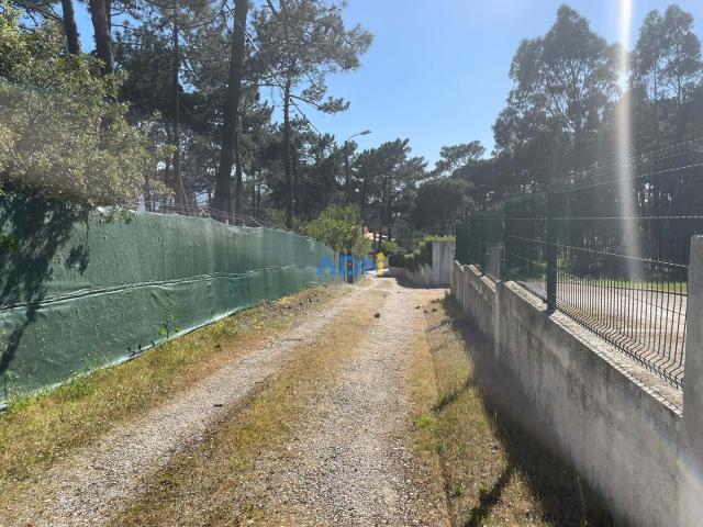 Terreno para Venda – 8.320 m² – Colares, Sintra