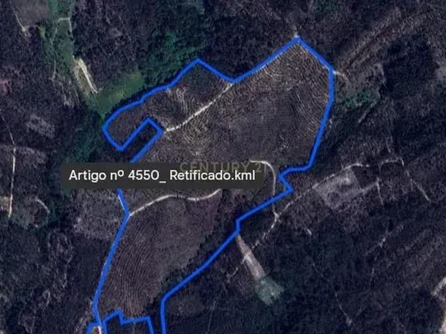 Terreno para venda, com 112 000m2