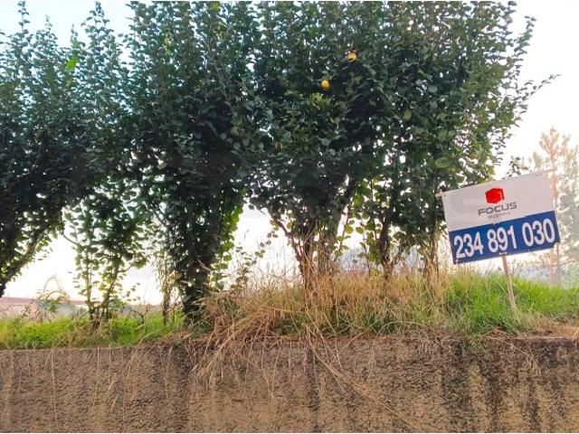 Terreno para venda com 26m de frente no centro de Fermentelos