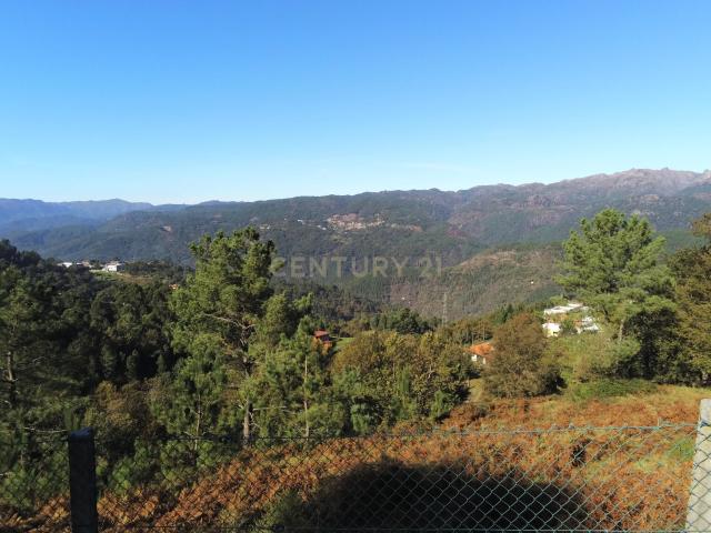 Terreno para Venda com 4500m² na zona do Gerês