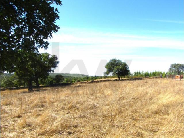 Terreno para venda com 5.250m2 em Monte Claro, Nisa