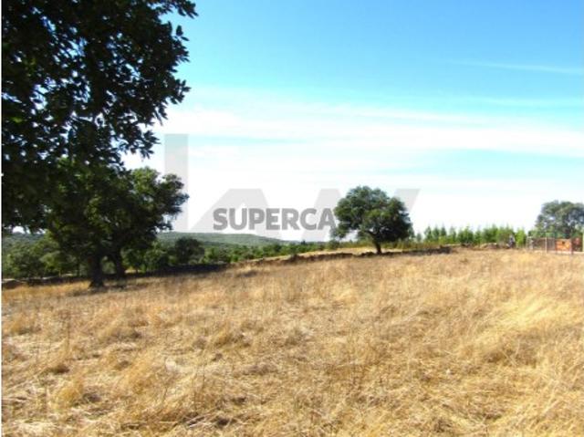 Terreno para venda com 5.250m2 em Monte Claro, Nisa