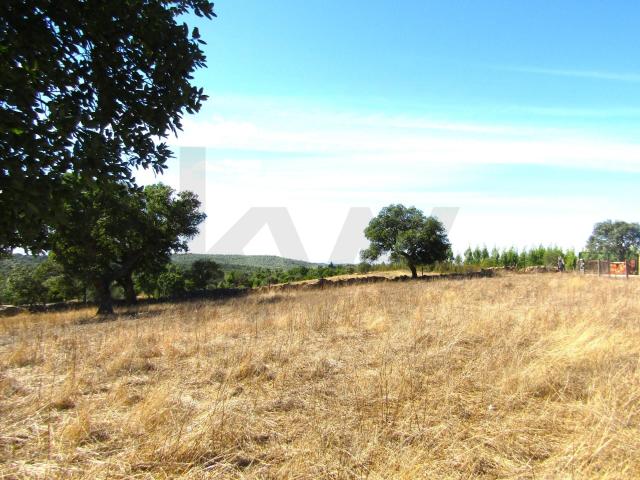 Terreno para venda com 5.250m2 em Monte Claro, Nisa