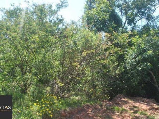 Terreno para Venda com 930m² no bairro Espírito Santo