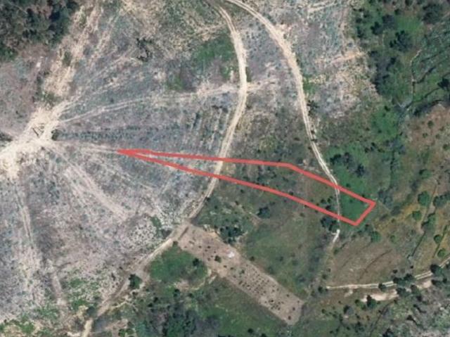 Terreno Para Venda Cabeça Gorda Abrantes