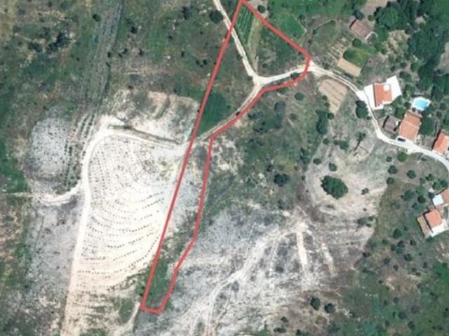 Terreno Para Venda Cabeça Gorda Abrantes