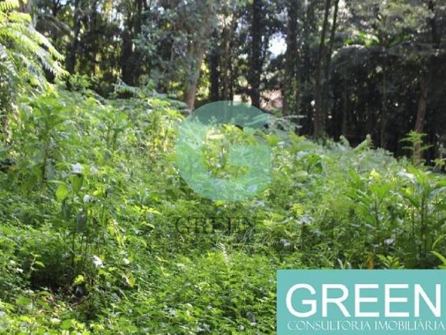 TERRENO para Venda CHÁCARA FLORA, SÃO PAULO avenida WASHINGTON LUIS