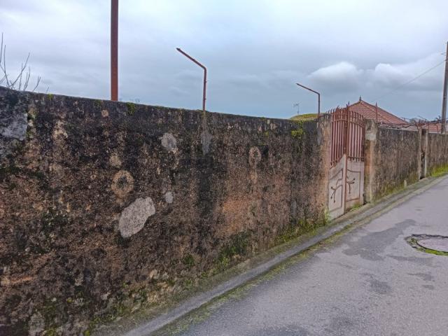 Terreno para Venda Albergaria a Velha / Branca