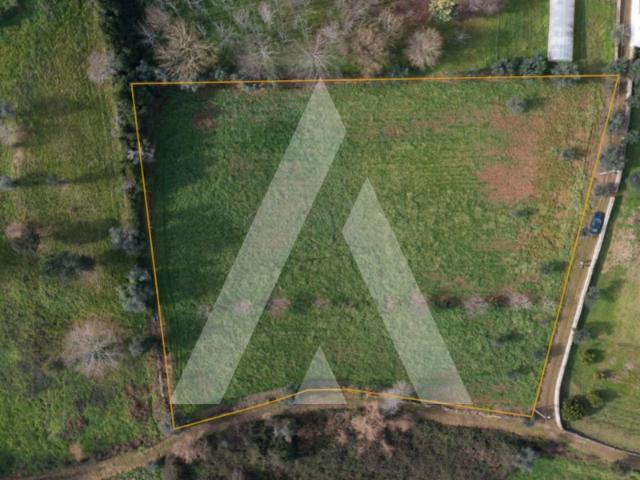 Terreno para venda Arrifana Vila Nova Poiares