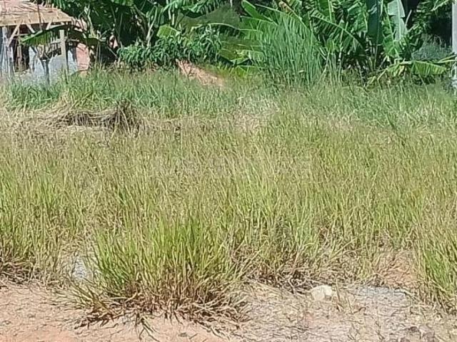 Terreno para Venda em Cotia, Parque Alexandre