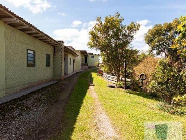 Terreno para Venda em Colombo, Arruda, 3 dormitórios, 3 banheiros