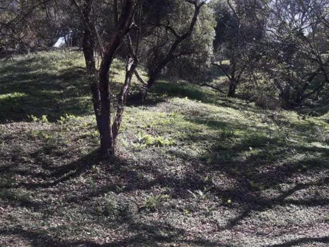 Terreno para venda em Condomínio Voturuna de 5018.00m²